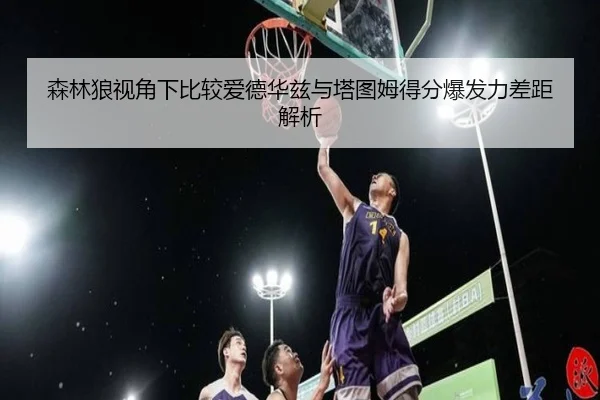 森林狼视角下比较爱德华兹与塔图姆得分爆发力差距解析
